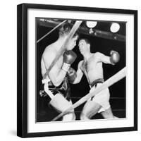 Heavyweight Champion Rocky Marciano (Right) Backs Roland Lastarza Against the Ropes-null-Framed Photo