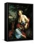 Hebe and Jupiter-Suzanne Valadon-Framed Stretched Canvas