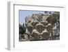 Hebrew Menorah Carved into Stone Capital in Roman Town of Capernaum-Hal Beral-Framed Premium Photographic Print