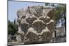 Hebrew Menorah Carved into Stone Capital in Roman Town of Capernaum-Hal Beral-Mounted Premium Photographic Print