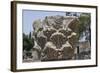 Hebrew Menorah Carved into Stone Capital in Roman Town of Capernaum-Hal Beral-Framed Photographic Print