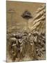 Hebrew People, Gates of Paradise, Bronze Doors of the Baptistry of San Giovanni, Florence-Godong-Mounted Photographic Print