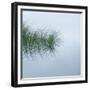 Hebridean Haiku-Doug Chinnery-Framed Photographic Print