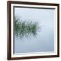 Hebridean Haiku-Doug Chinnery-Framed Photographic Print