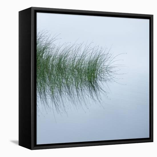 Hebridean Haiku-Doug Chinnery-Framed Stretched Canvas