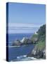 Heceta Head Lighthouse and Seastacks, Cape Sebestian, Oregon, USA-Merrill Images-Stretched Canvas