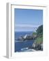 Heceta Head Lighthouse and Seastacks, Cape Sebestian, Oregon, USA-Merrill Images-Framed Photographic Print