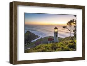 Heceta Head Lighthouse at sunset, Florence, Lane county, Oregon, United States of America-francesco vaninetti-Framed Photographic Print