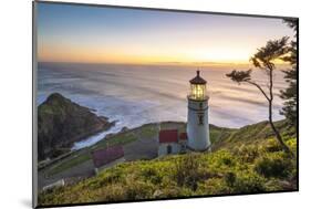 Heceta Head Lighthouse at sunset, Florence, Lane county, Oregon, United States of America-francesco vaninetti-Mounted Photographic Print