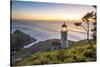 Heceta Head Lighthouse at sunset, Florence, Lane county, Oregon, United States of America-francesco vaninetti-Stretched Canvas