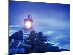 Heceta Head Lighthouse, Devil's Elbow State Park, Oregon Coast-Stuart Westmorland-Mounted Photographic Print