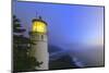 Heceta Head Lighthouse, Devil's Elbow State Park, Oregon Coast-Stuart Westmorland-Mounted Photographic Print