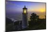 Heceta Head Lighthouse, Devil's Elbow State Park, Oregon Coast-Stuart Westmorland-Mounted Photographic Print