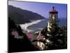 Heceta Head Lighthouse, Florence, Oregon, USA-Adam Jones-Mounted Photographic Print