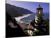 Heceta Head Lighthouse, Florence, Oregon, USA-Adam Jones-Stretched Canvas