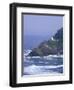 Heceta Head Lighthouse on Heceta Head, Oregon, USA-Jamie & Judy Wild-Framed Photographic Print