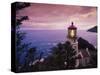 Heceta Head Lighthouse, Oregon Coast-Stuart Westmorland-Stretched Canvas