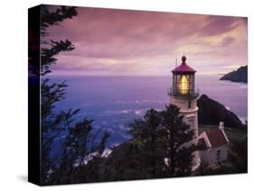 Heceta Head Lighthouse, Oregon Coast-Stuart Westmorland-Stretched Canvas