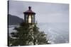 Heceta Head Lighthouse, Oregon-Paul Souders-Stretched Canvas