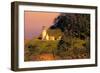 Heceta Head Lighthouse-George Johnson-Framed Photo