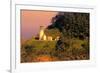 Heceta Head Lighthouse-George Johnson-Framed Photo