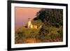 Heceta Head Lighthouse-George Johnson-Framed Photo