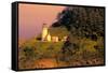 Heceta Head Lighthouse-George Johnson-Framed Stretched Canvas