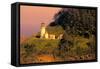 Heceta Head Lighthouse-George Johnson-Framed Stretched Canvas