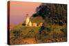 Heceta Head Lighthouse-George Johnson-Stretched Canvas