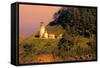 Heceta Head Lighthouse-George Johnson-Framed Stretched Canvas