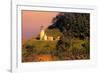 Heceta Head Lighthouse-George Johnson-Framed Photographic Print