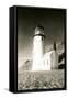 Heceta Head Lighthouse-null-Framed Stretched Canvas