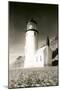 Heceta Head Lighthouse-null-Mounted Art Print
