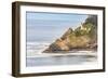 Heceta Head, Oregon, USA. Heceta Head Lighthouse on the Oregon coast.-Emily Wilson-Framed Photographic Print