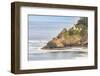 Heceta Head, Oregon, USA. Heceta Head Lighthouse on the Oregon coast.-Emily Wilson-Framed Photographic Print