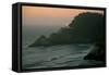 Heceta Sunset-Brian Kidd-Framed Stretched Canvas