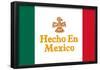 Hecho En Mexico Made in Mexico Art Print Poster-null-Framed Poster