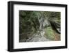 Heckenbachklamm (gorge) in the area of Jochberg (mountain)-Klaus Scholz-Framed Photographic Print