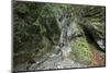 Heckenbachklamm (gorge) in the area of Jochberg (mountain)-Klaus Scholz-Mounted Photographic Print