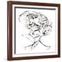 Hector Berlioz, French composer, sepia line caricature, 2006 by Neale Osborne-Neale Osborne-Framed Giclee Print
