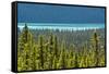 Hector Lake, Banff National Park, Alberta, Canada-Michel Hersen-Framed Stretched Canvas