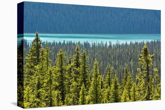 Hector Lake, Banff National Park, Alberta, Canada-Michel Hersen-Stretched Canvas