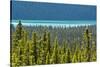 Hector Lake, Banff National Park, Alberta, Canada-Michel Hersen-Stretched Canvas