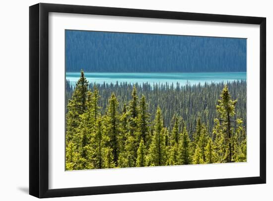 Hector Lake, Banff National Park, Alberta, Canada-Michel Hersen-Framed Photographic Print