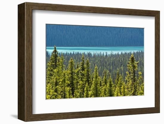 Hector Lake, Banff National Park, Alberta, Canada-Michel Hersen-Framed Photographic Print