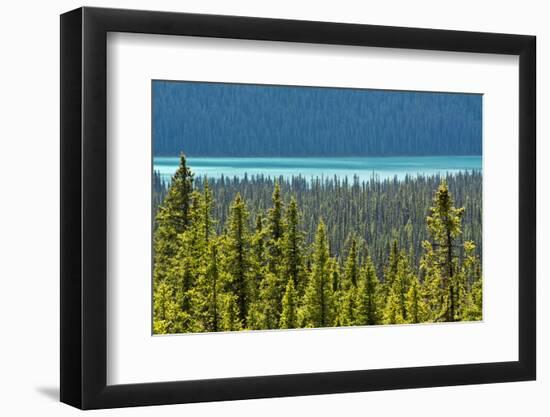 Hector Lake, Banff National Park, Alberta, Canada-Michel Hersen-Framed Photographic Print