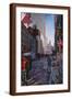 Brown Frame