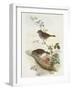 Hedge Accentor (Prunella Modularis)-John Gould-Framed Giclee Print