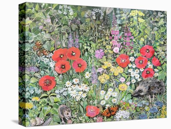 Hedgehog Amongst the Flowers-Hilary Jones-Stretched Canvas