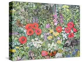 Hedgehog Amongst the Flowers-Hilary Jones-Stretched Canvas